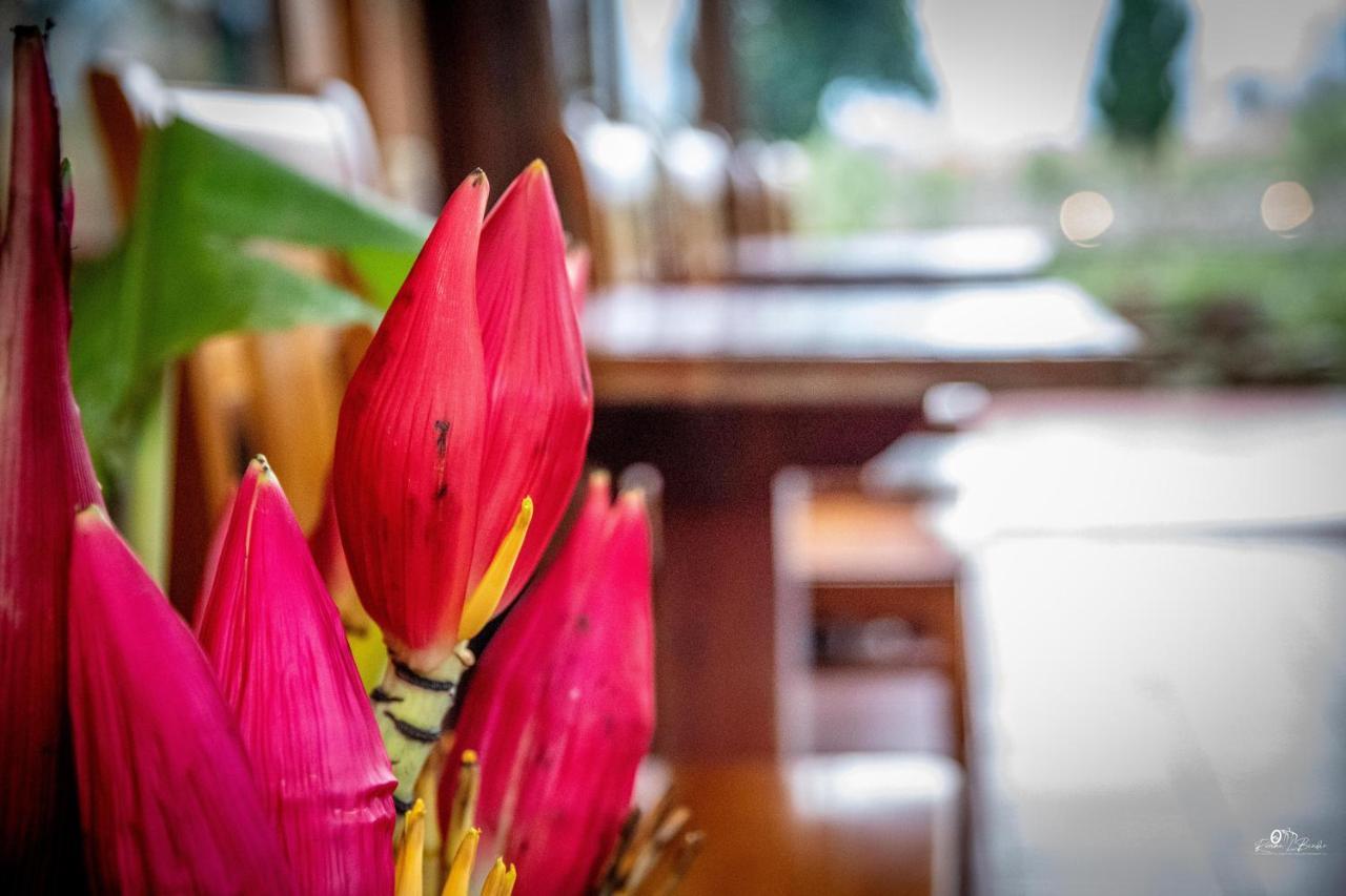 Sapa Riverside Ecolodge & Spa Dış mekan fotoğraf